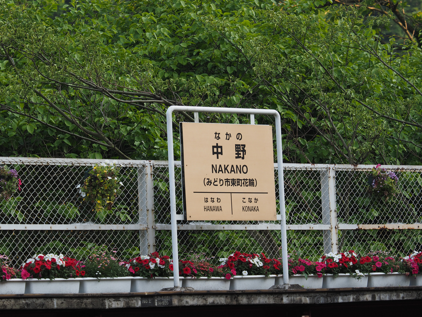 P5210327.jpg