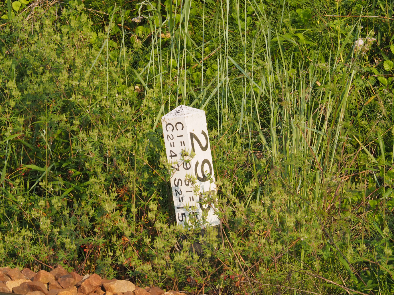 P5210336.jpg