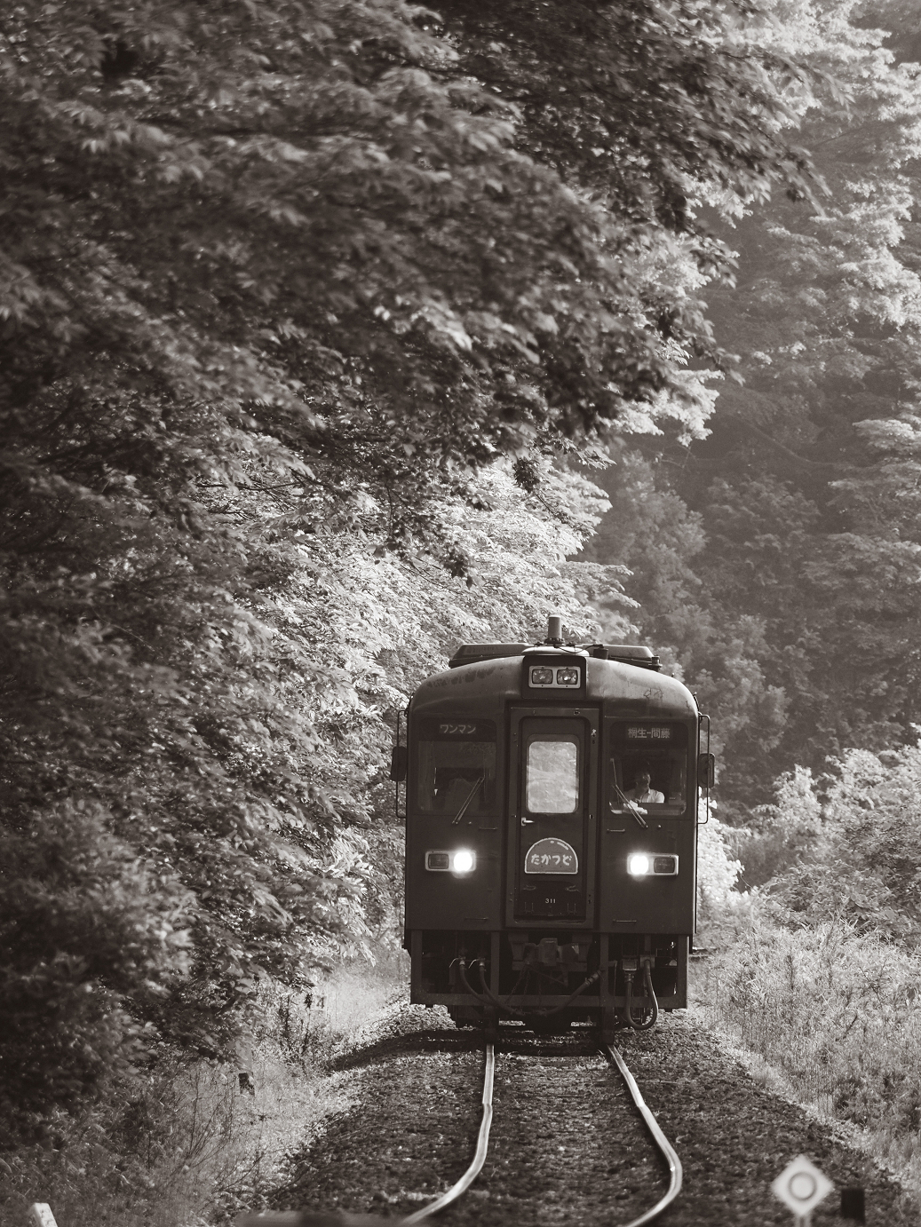 P5210354-.jpg