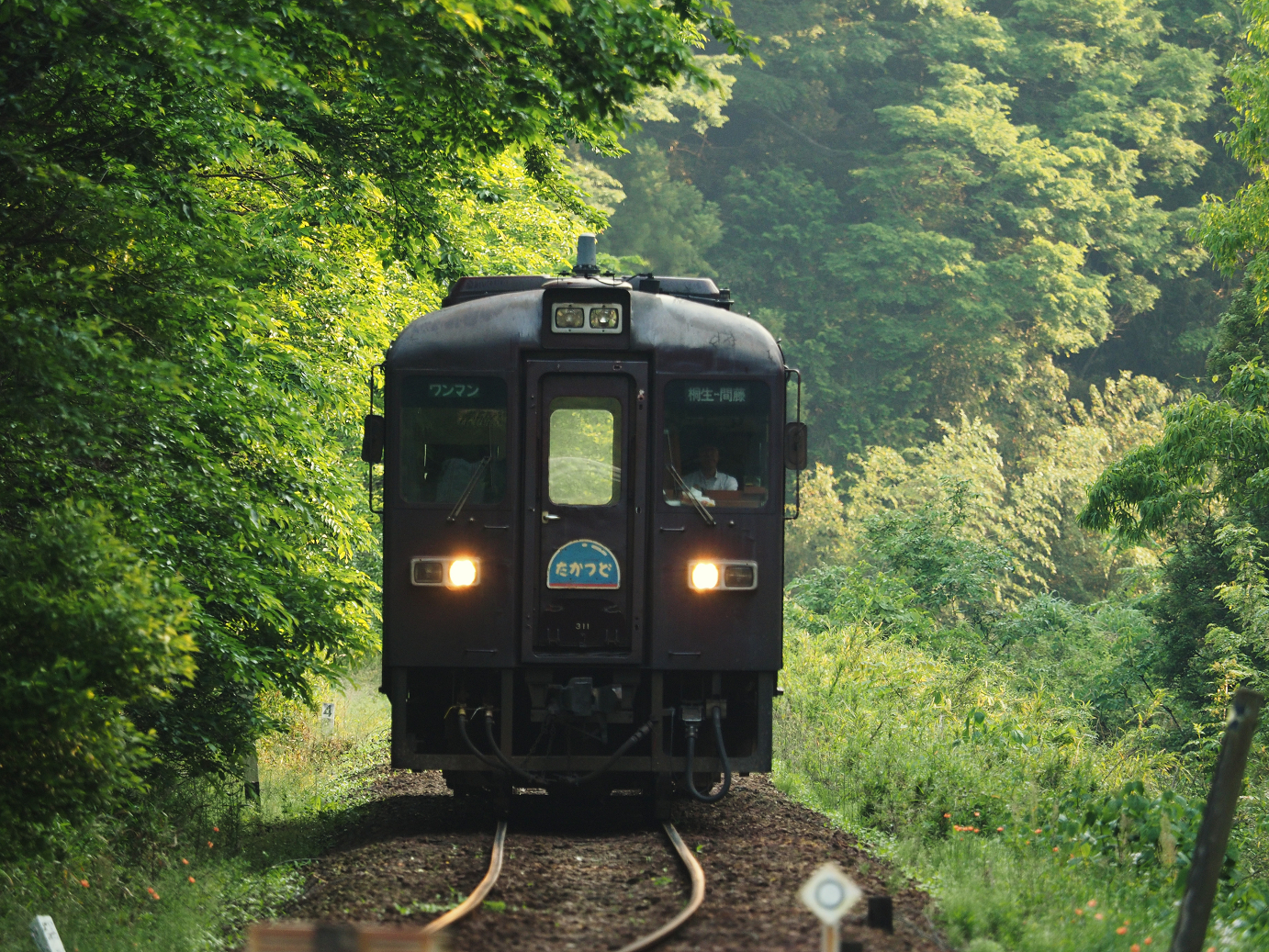 P5210355.jpg