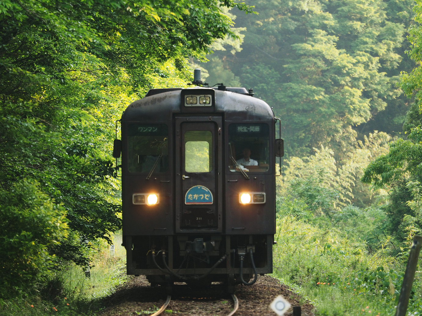 P5210359.jpg