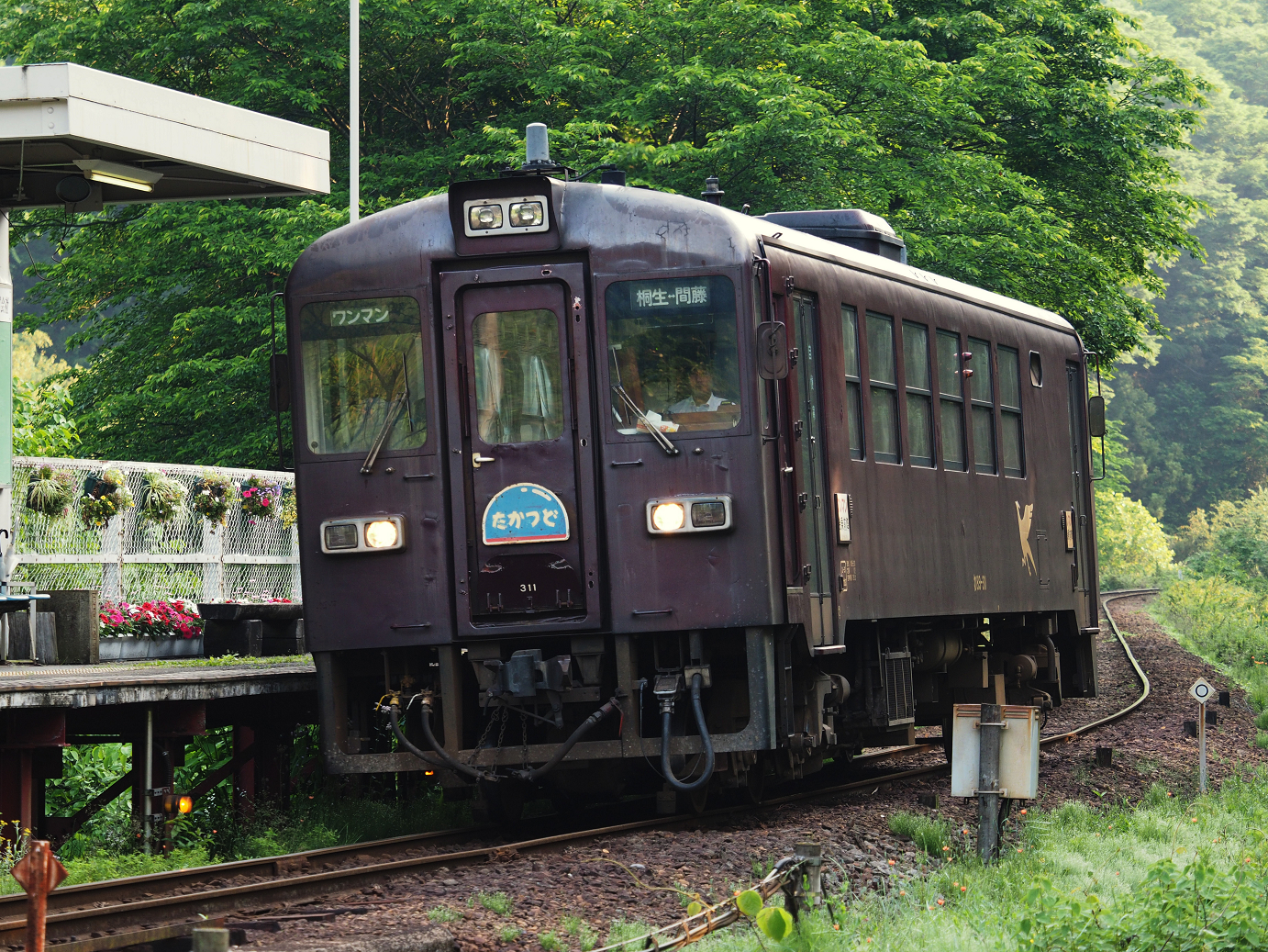 P5210365.jpg