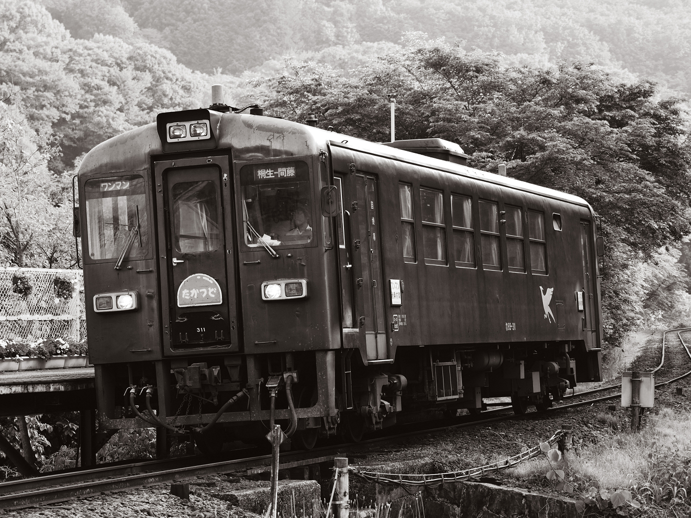P5210368.jpg