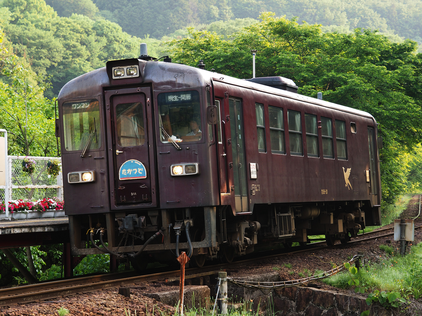 P5210369.jpg