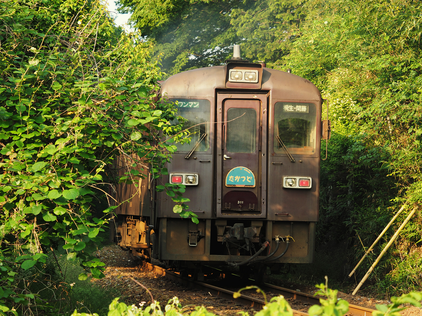 P5210381.jpg