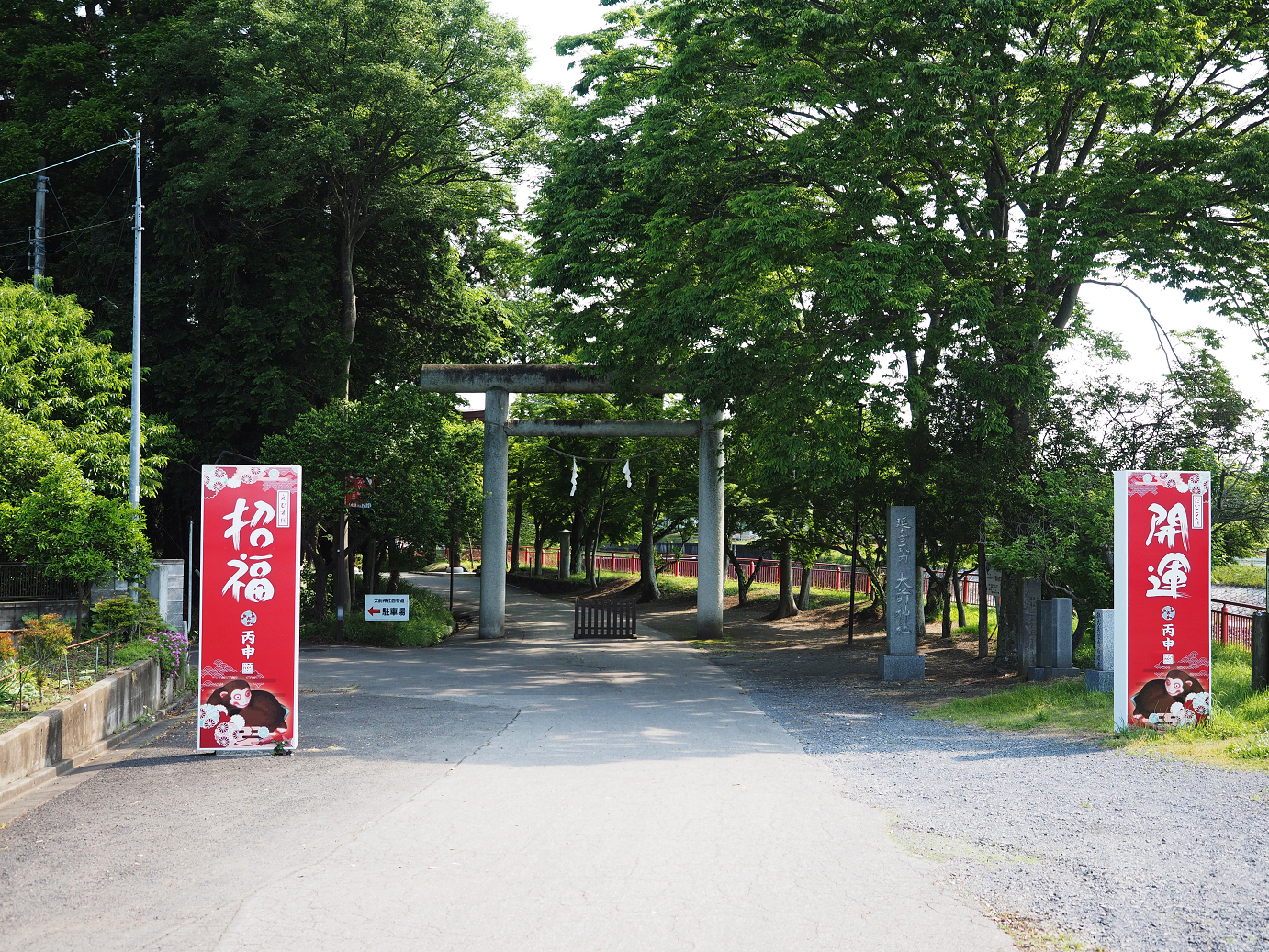 P5220404.jpg