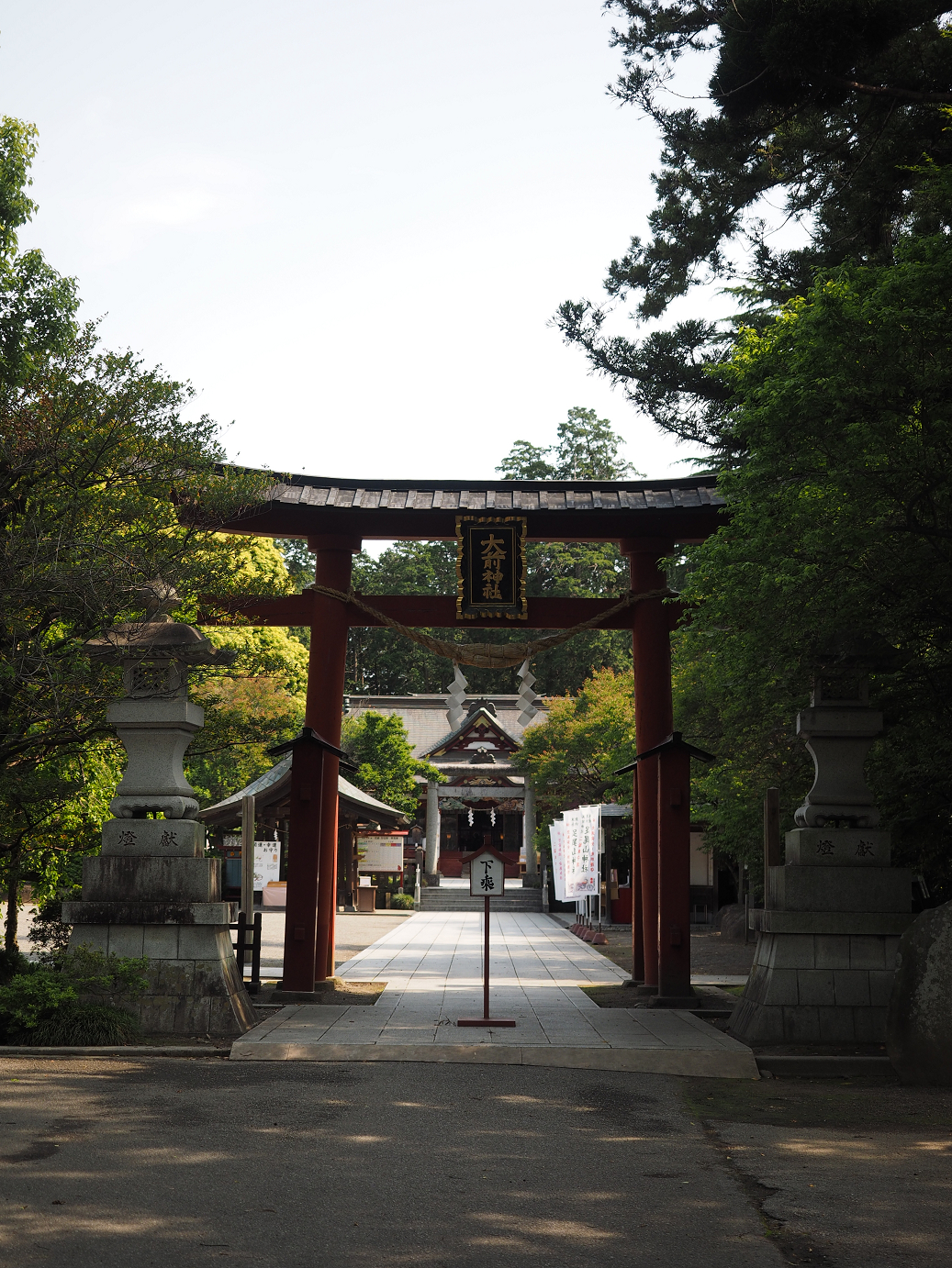 P5220416.jpg