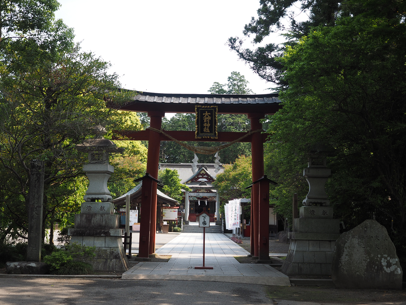 P5220417.jpg