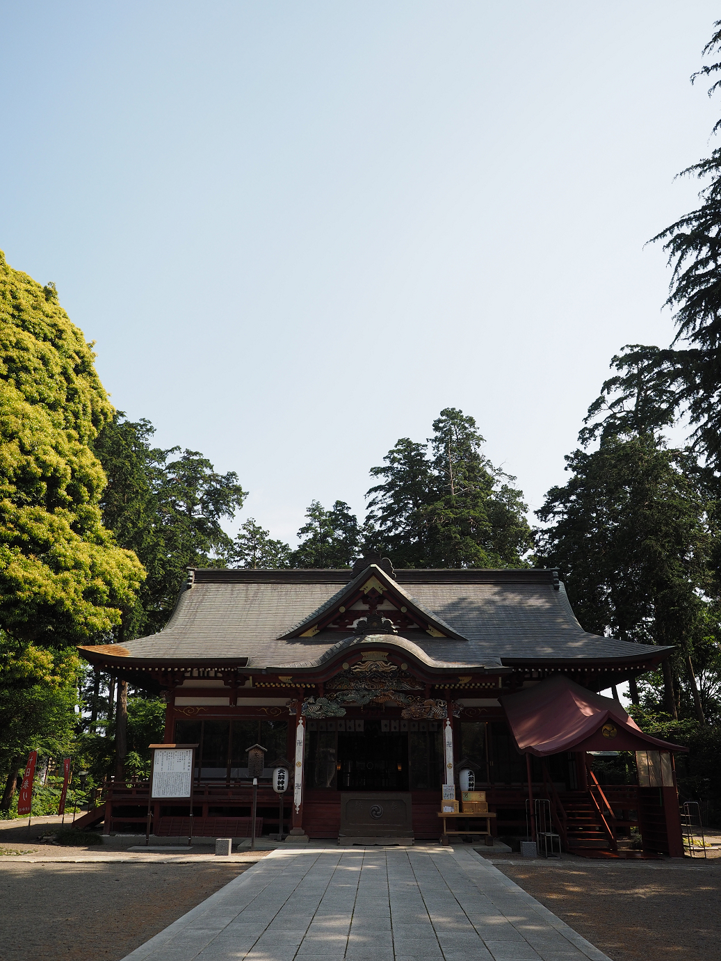 P5220426.jpg