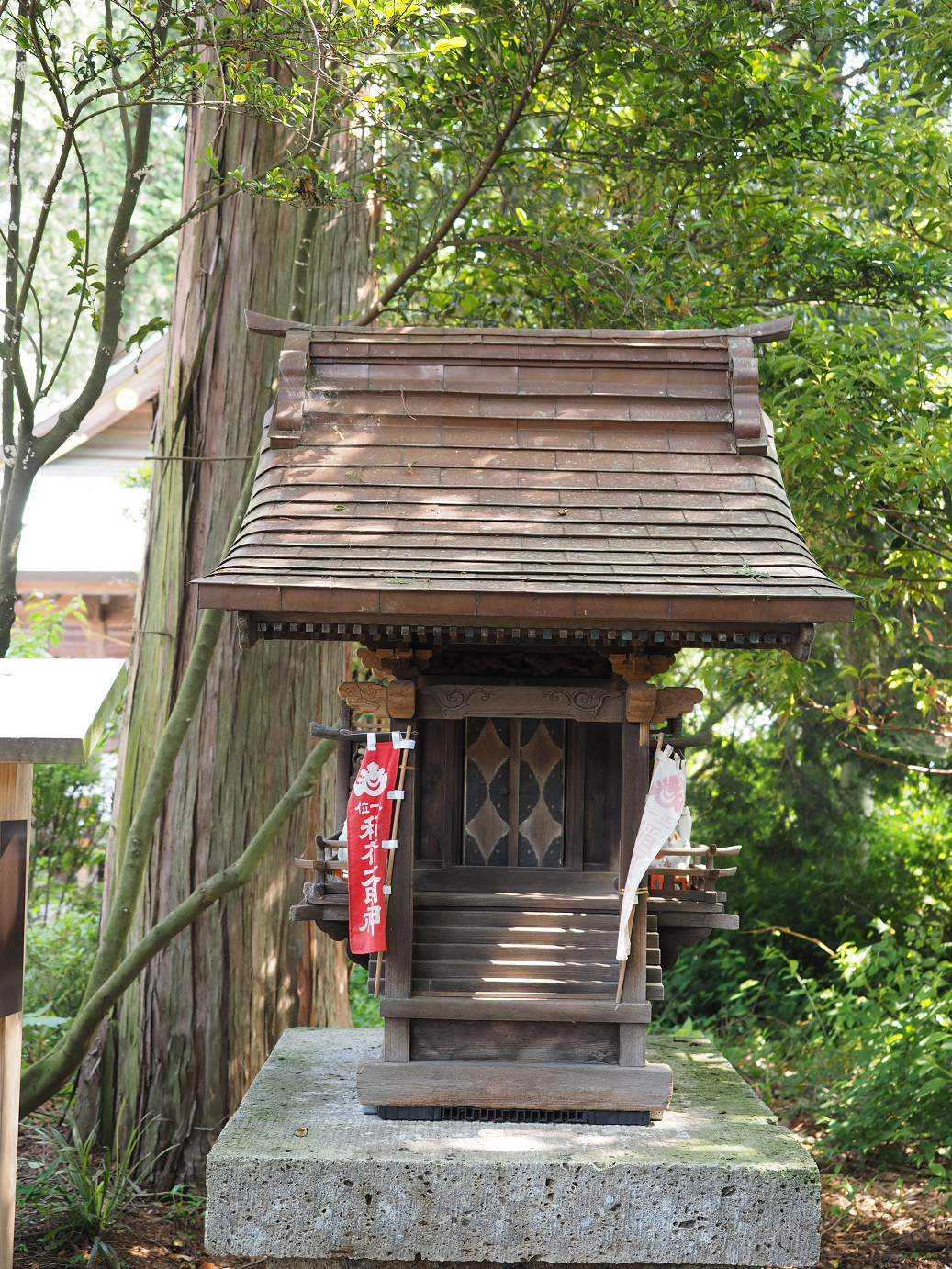 P5220433.jpg