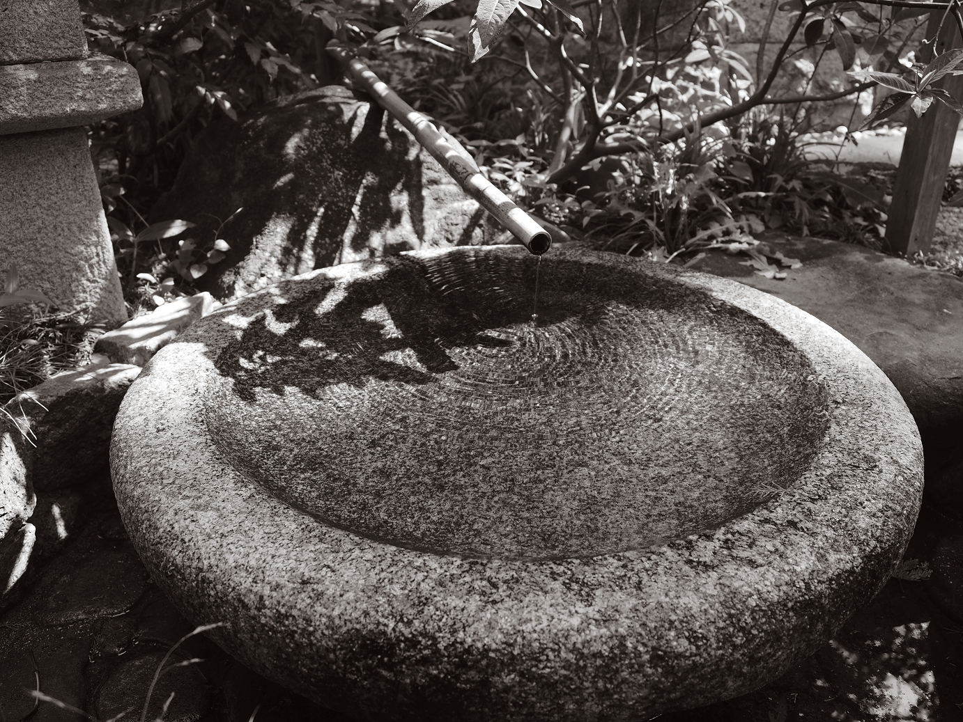P5220442-.jpg