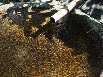P5220447_thumb.png