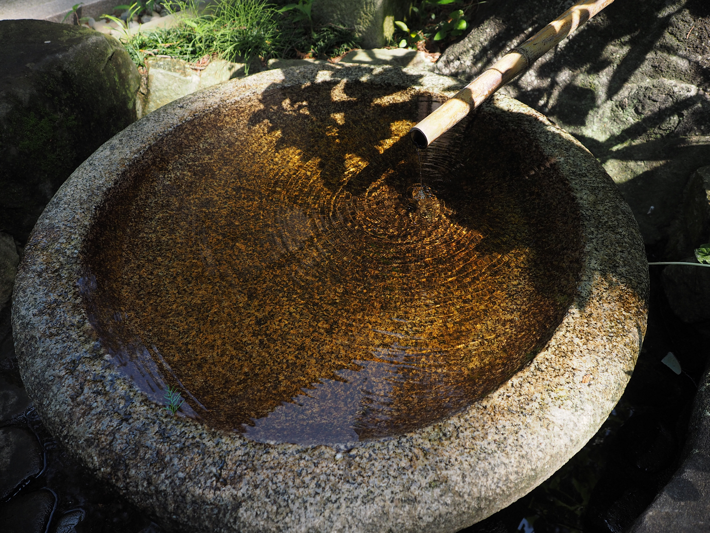 P5220449.jpg