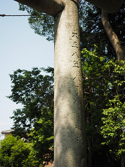 P5220523_thumb.png