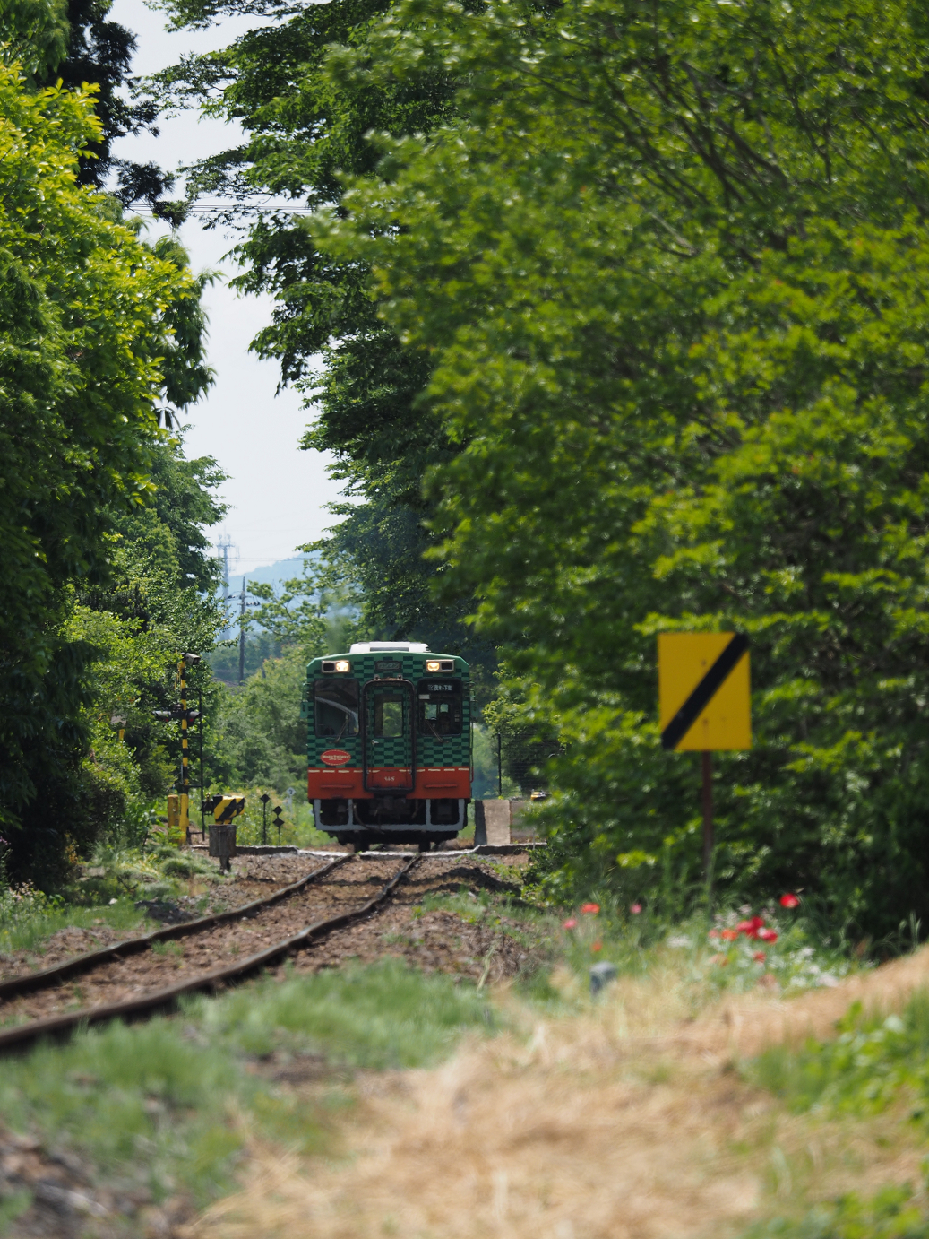 P5220650.jpg