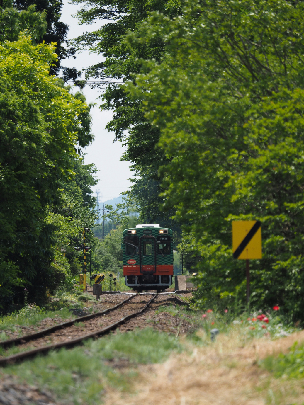 P5220651.jpg