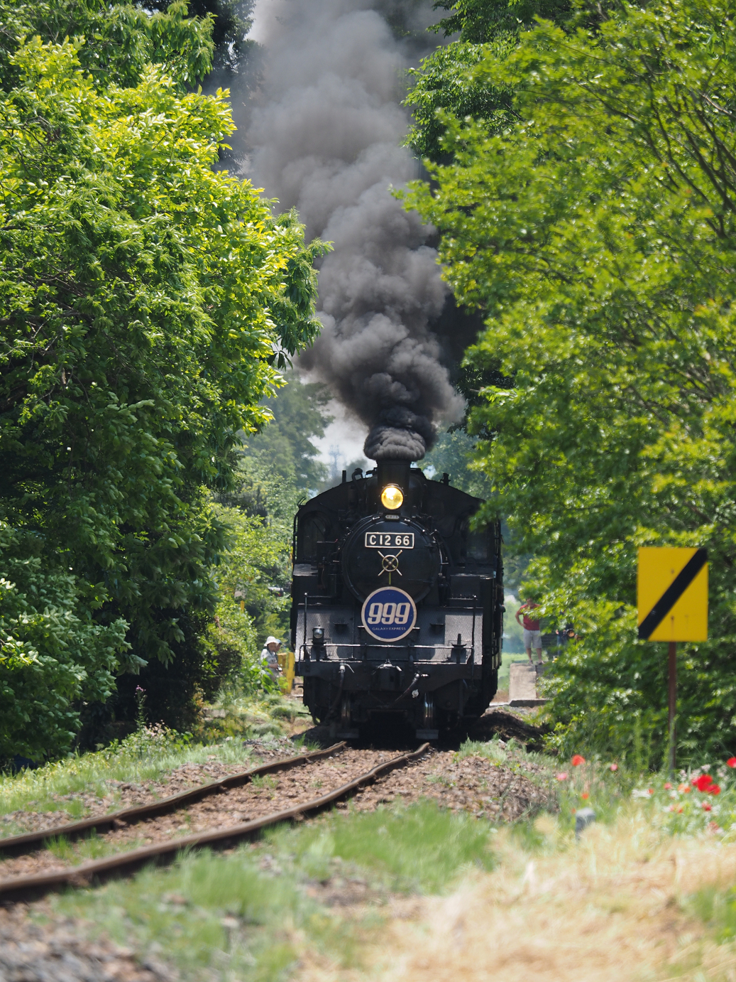 P5220761.jpg