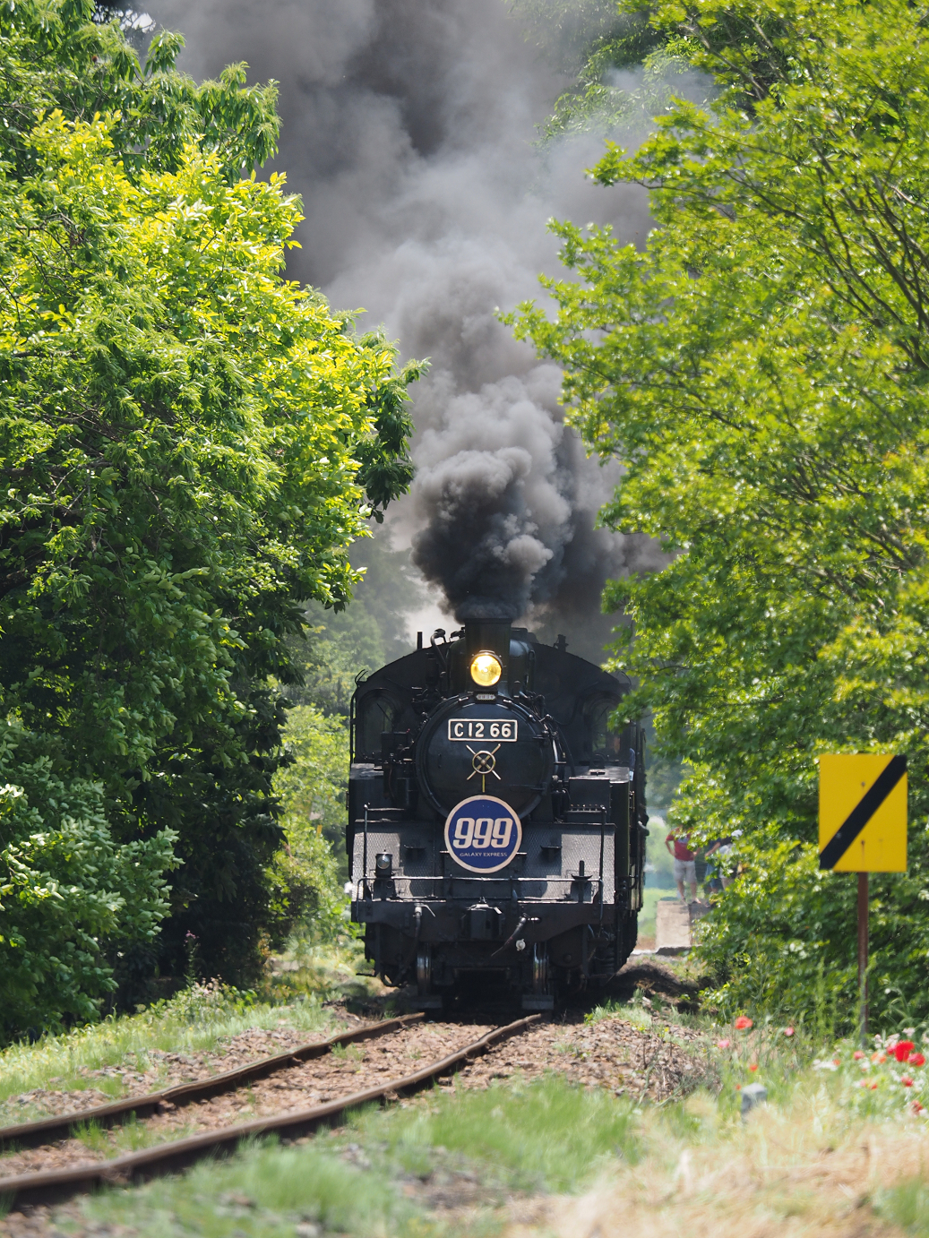 P5220765.jpg