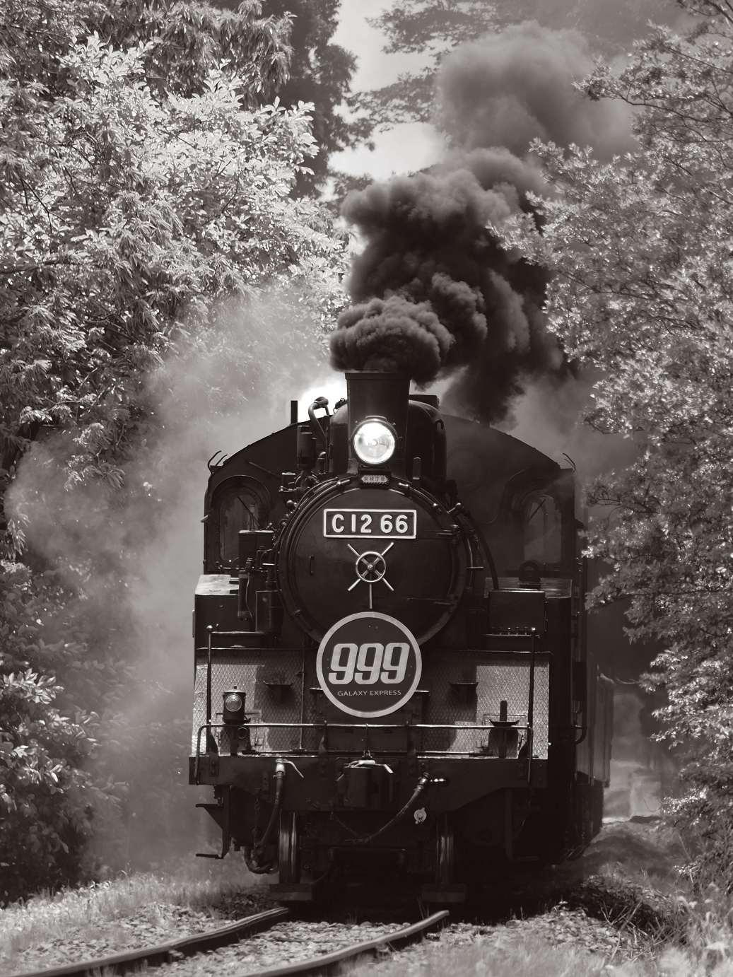 P5220788-.jpg