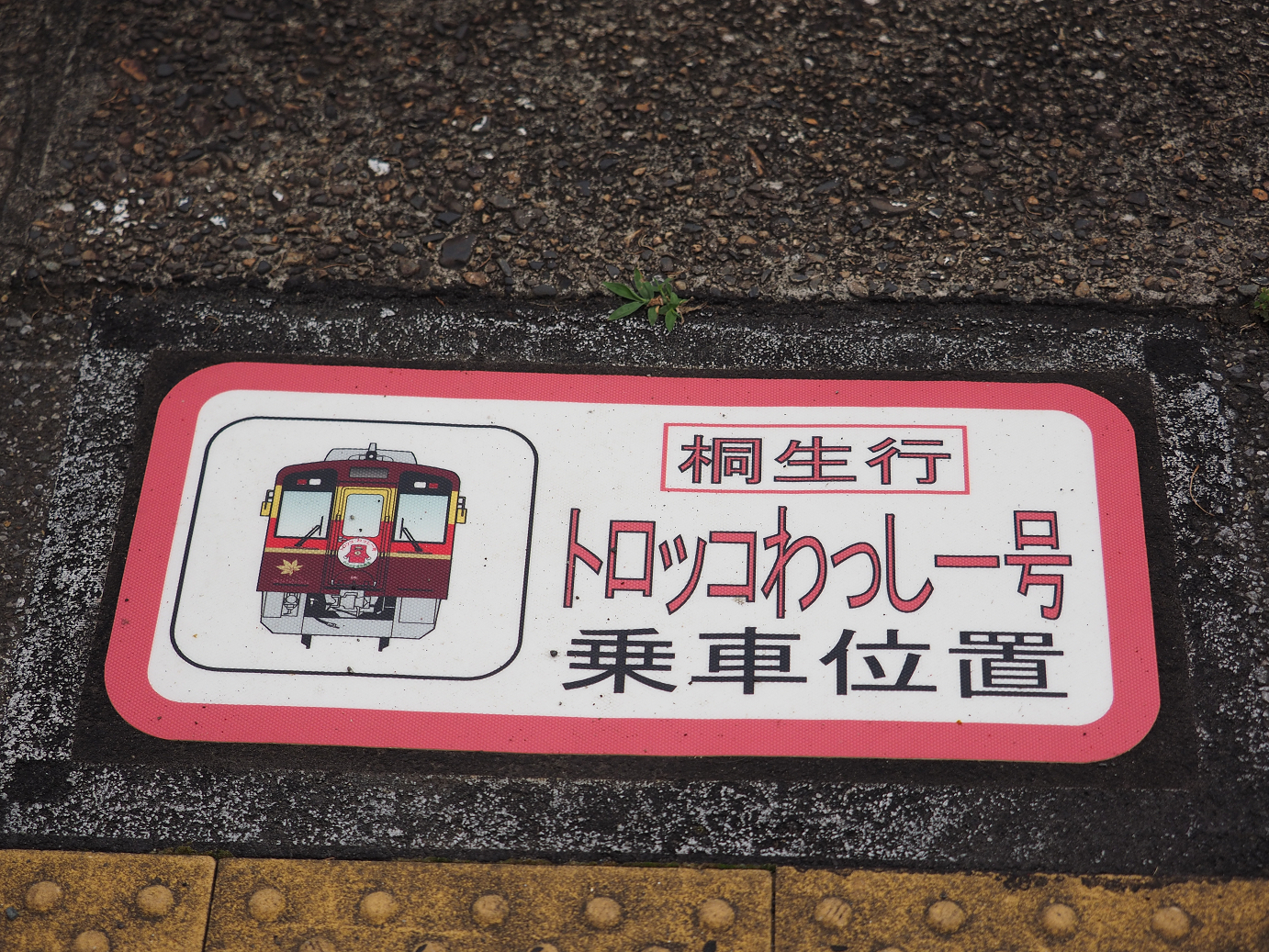 P5280159.jpg