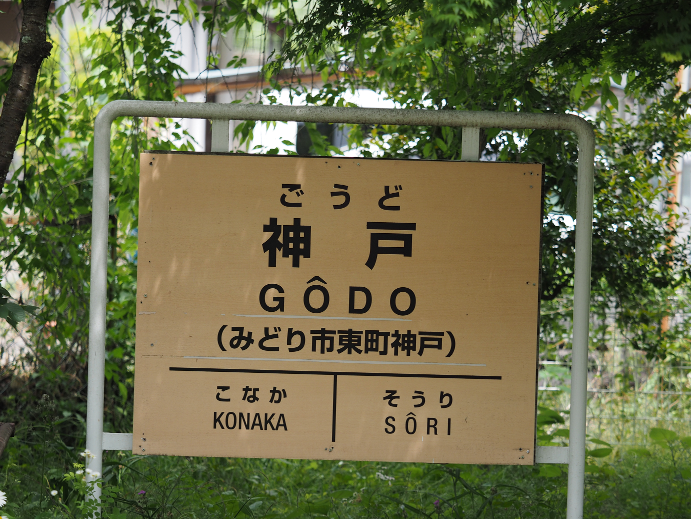 P5280165.jpg