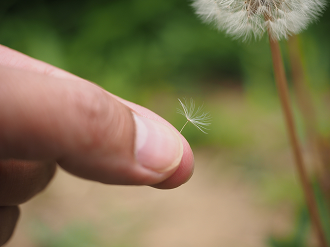 P5280232_thumb.png