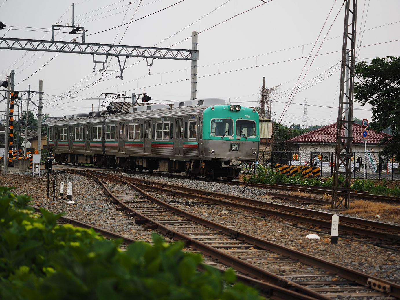 P5280241.jpg
