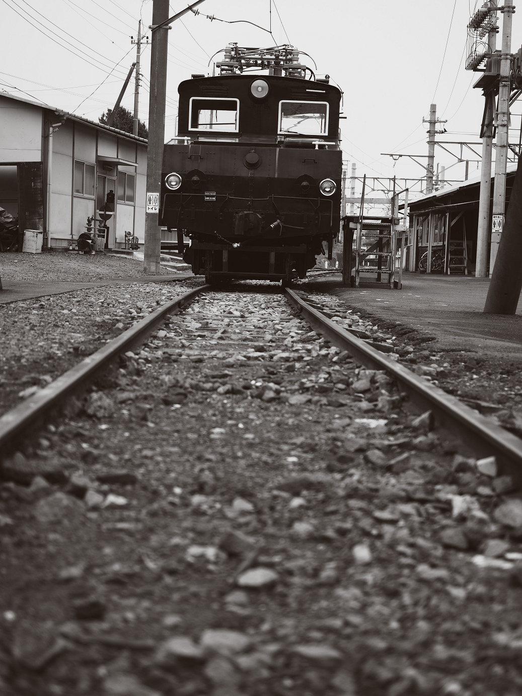 P5280546.jpg
