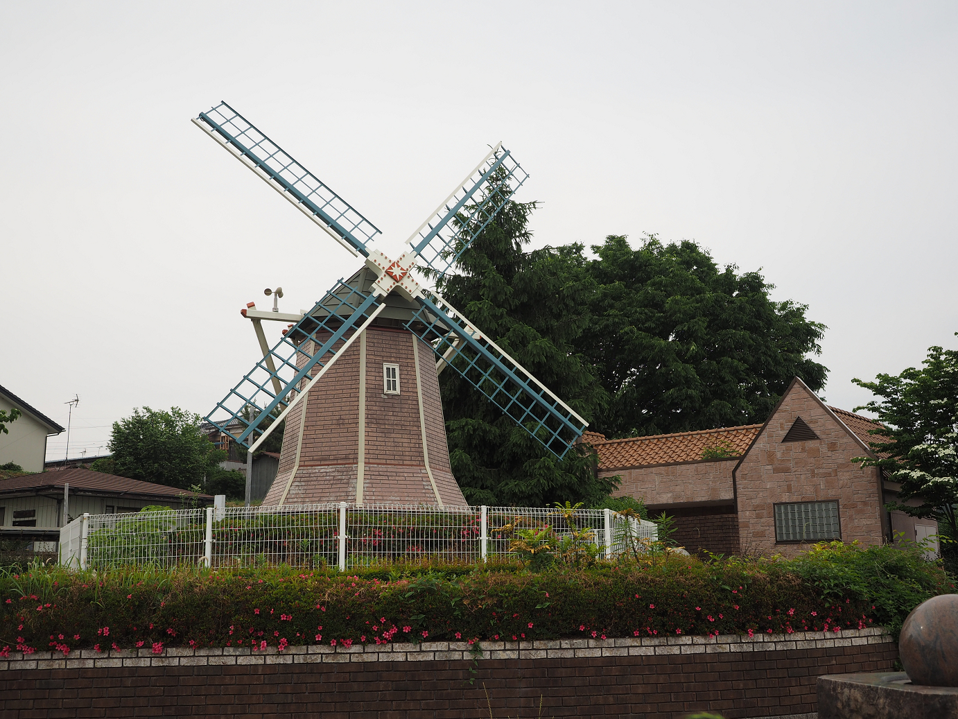 P5280555.jpg