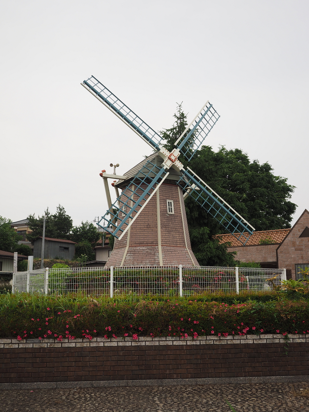 P5280556.jpg