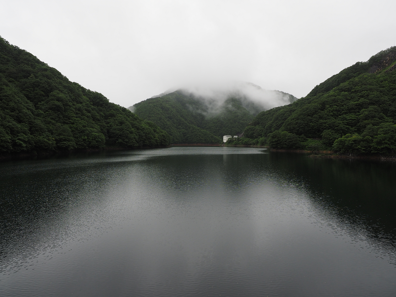 P7150030.jpg