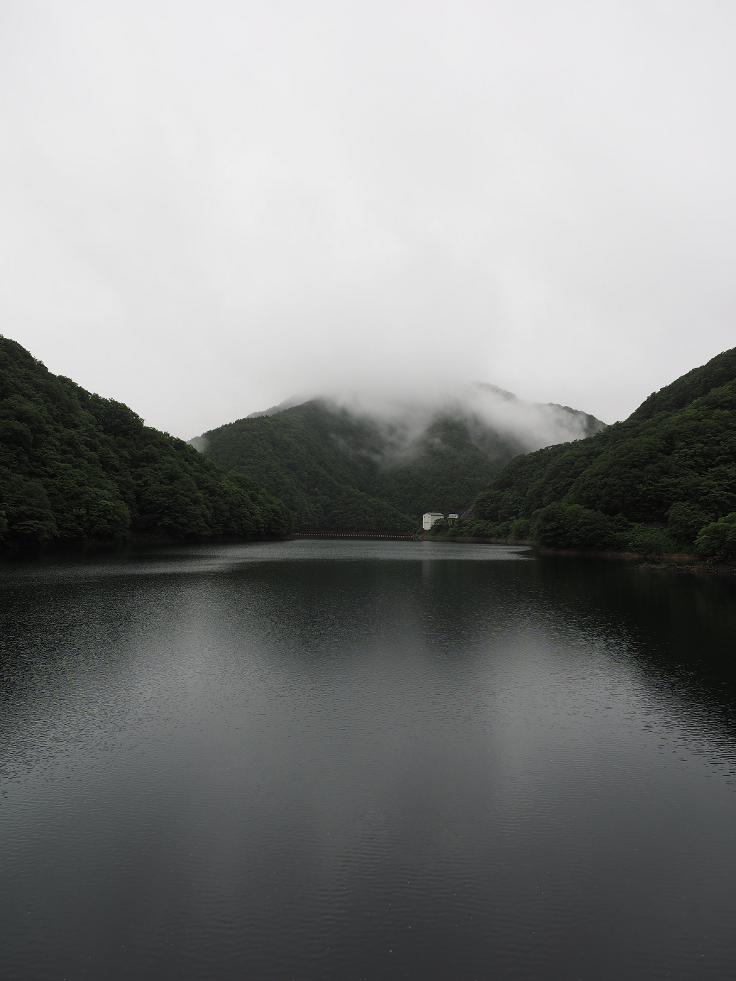 P7150031.jpg