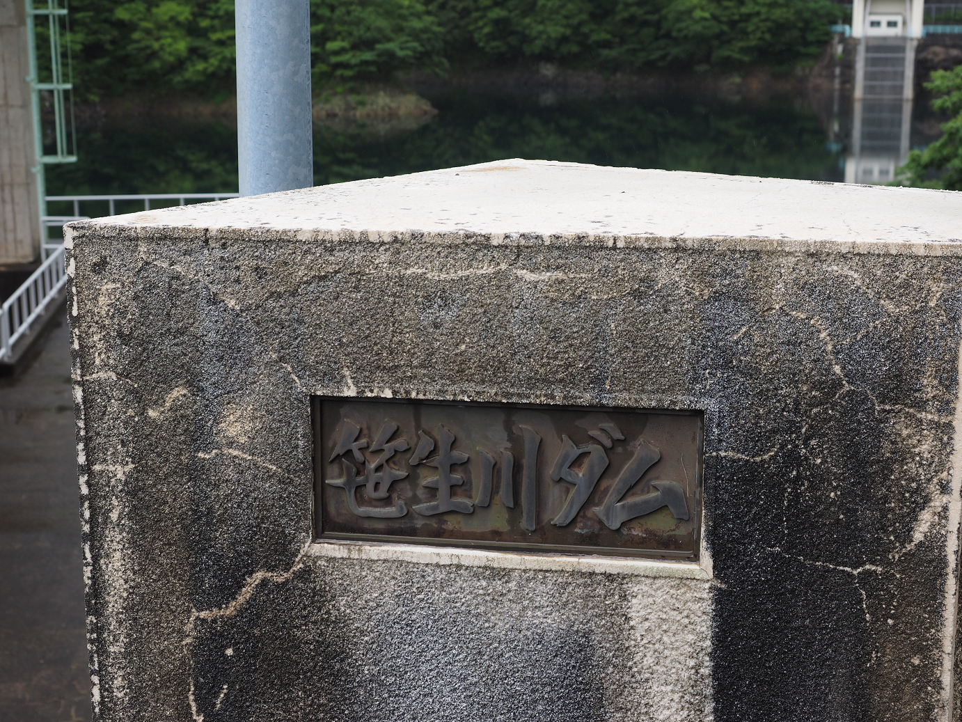 P7150042.jpg