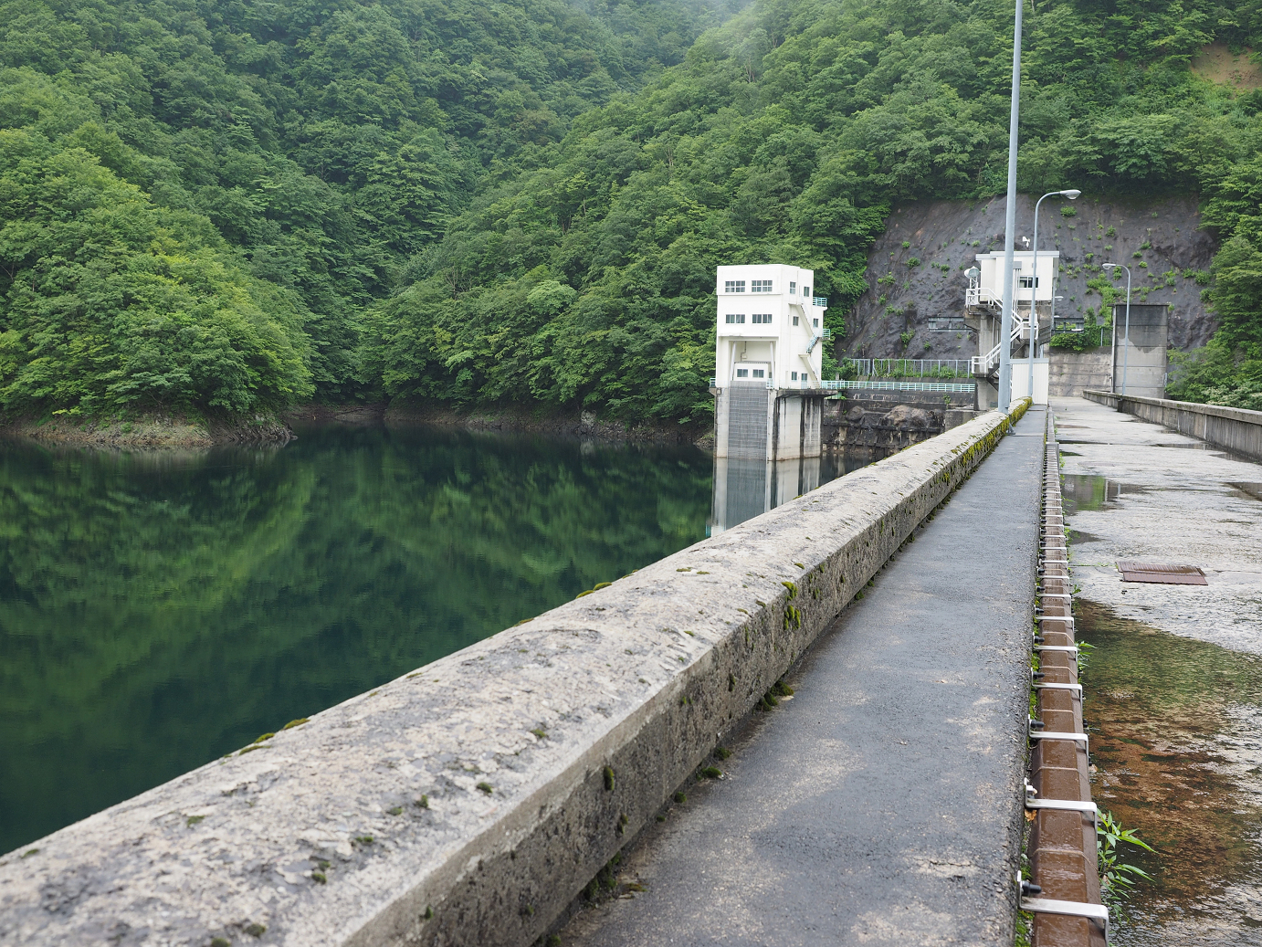 P7150052.jpg