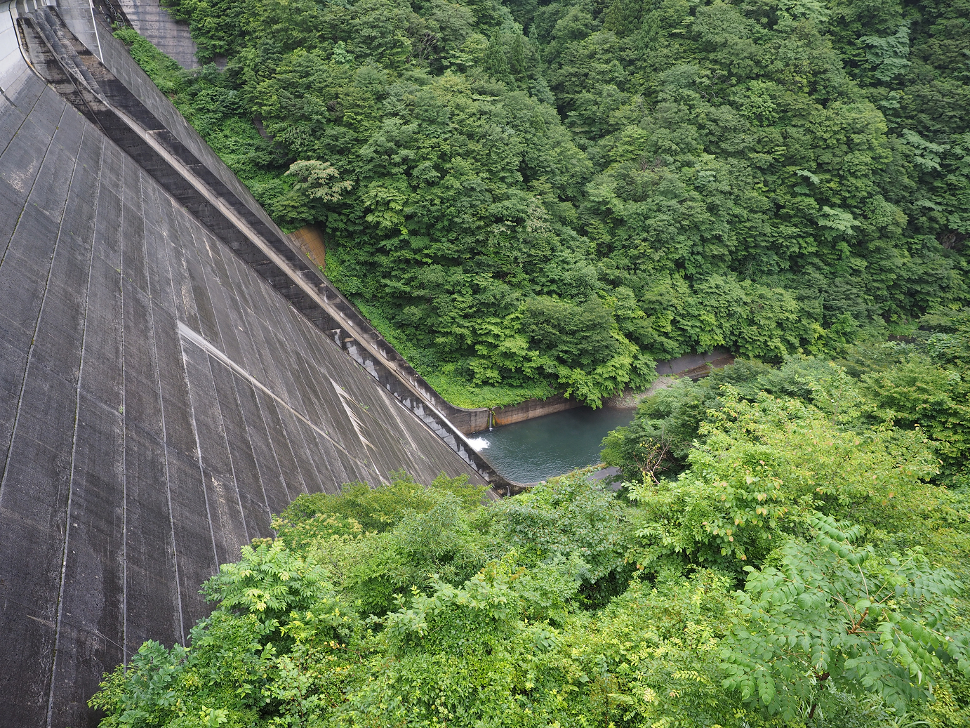 P7150056.jpg