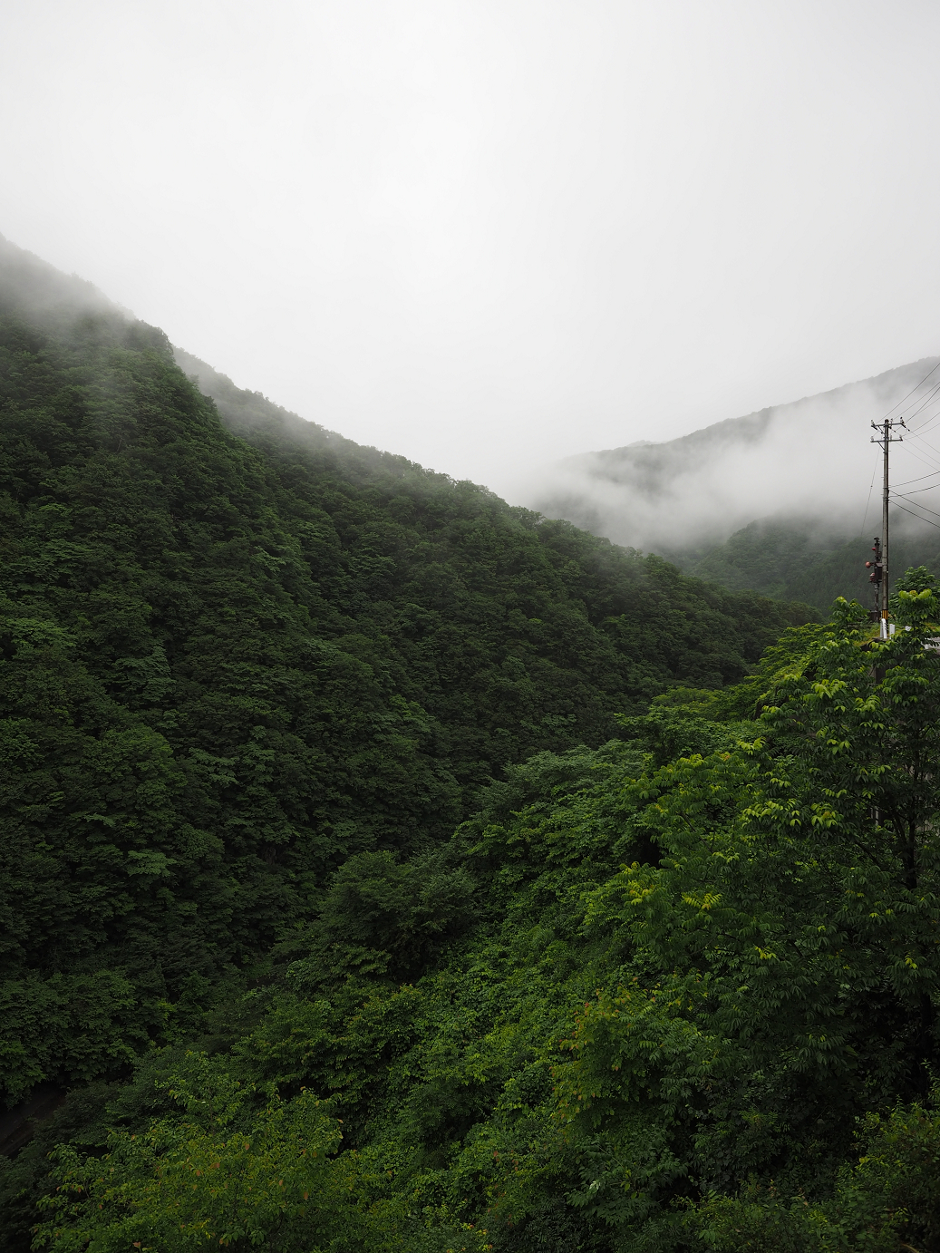 P7150057.jpg
