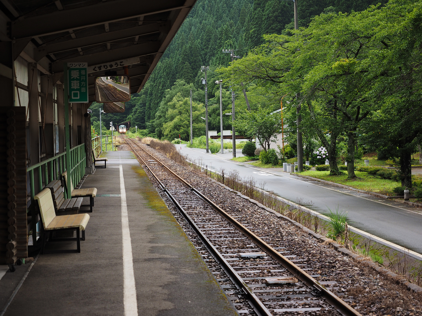 P7150128.jpg