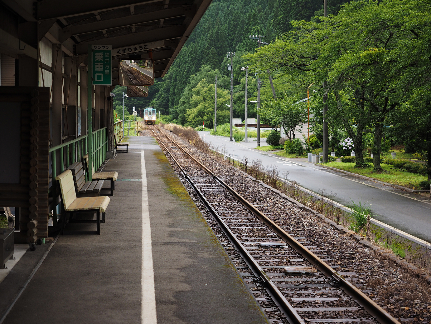 P7150130.jpg