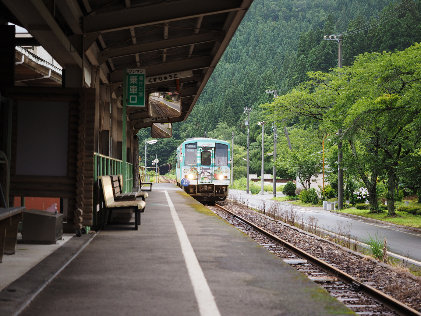 P7150133.jpg