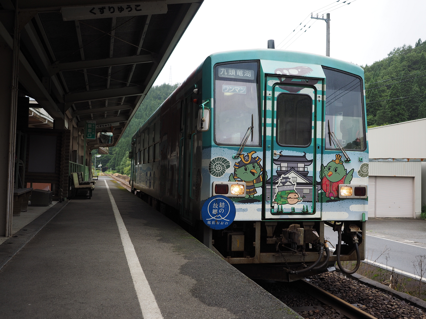 P7150138.jpg