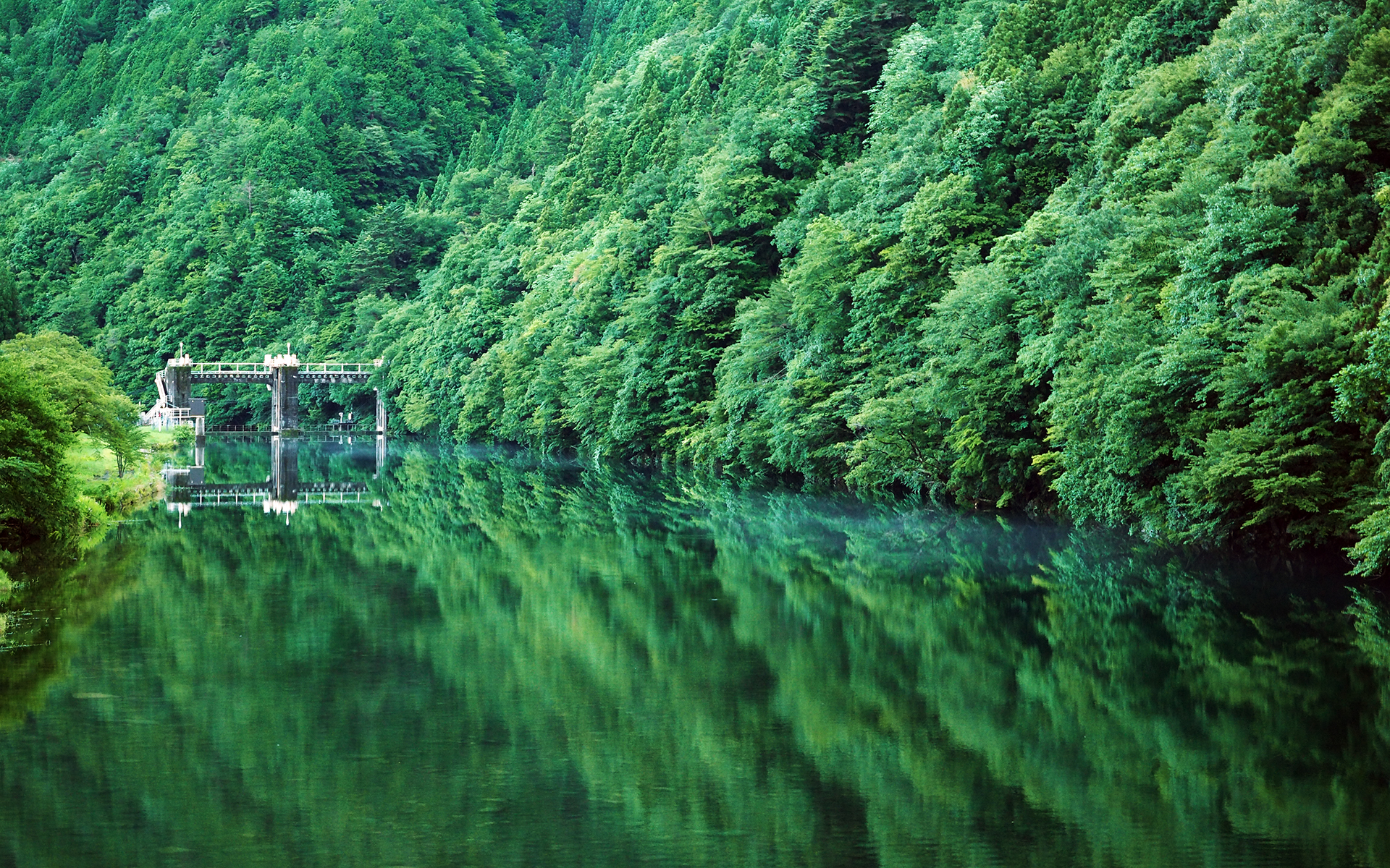 P7150196-.jpg