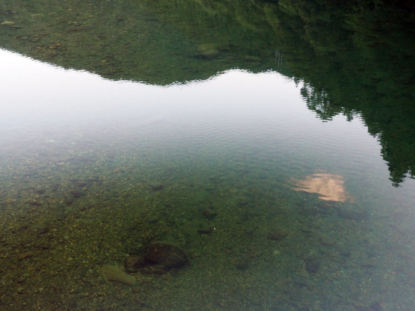 P7150201.jpg