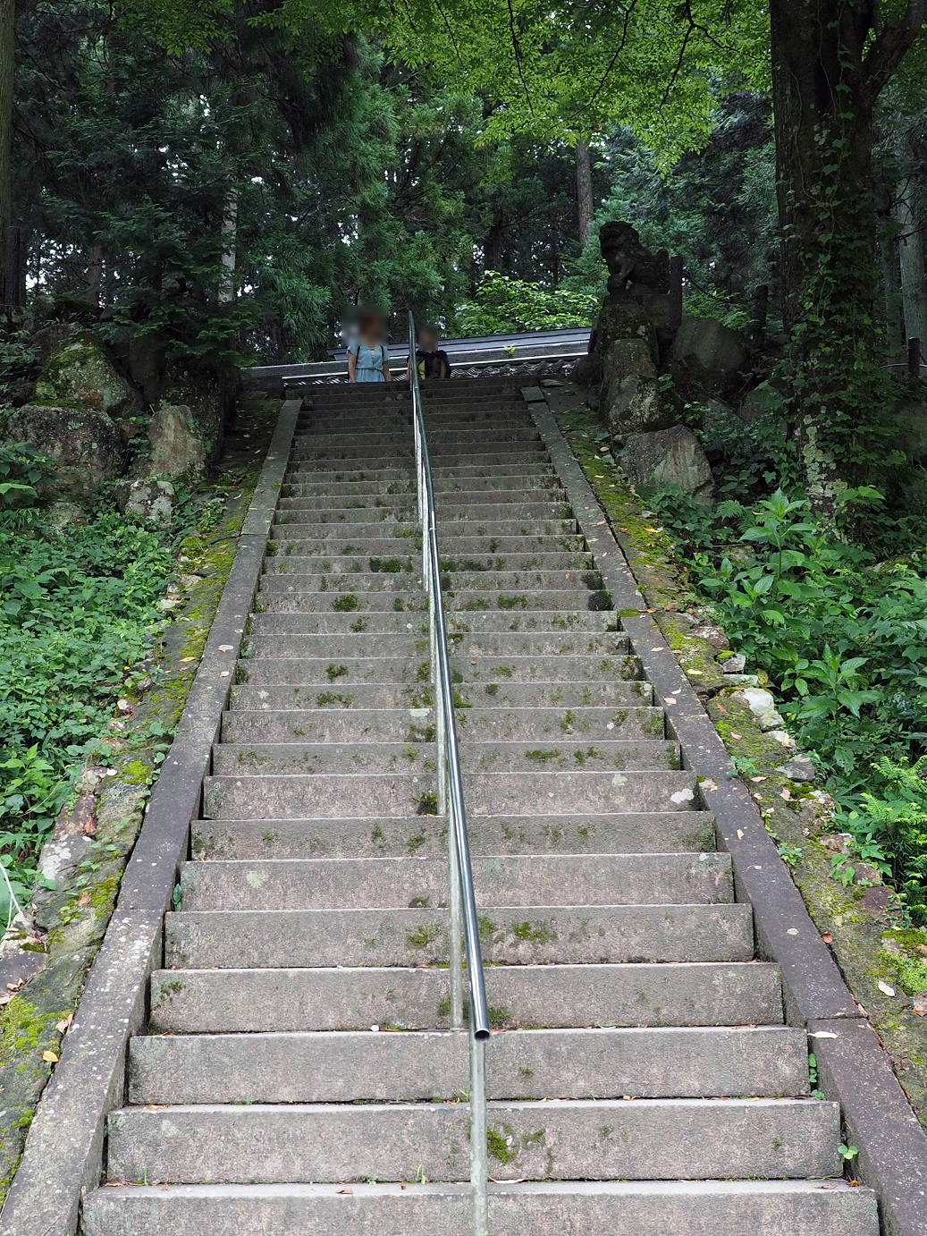 P7160679.jpg