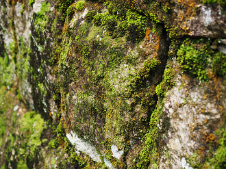 P7160684_thumb.png