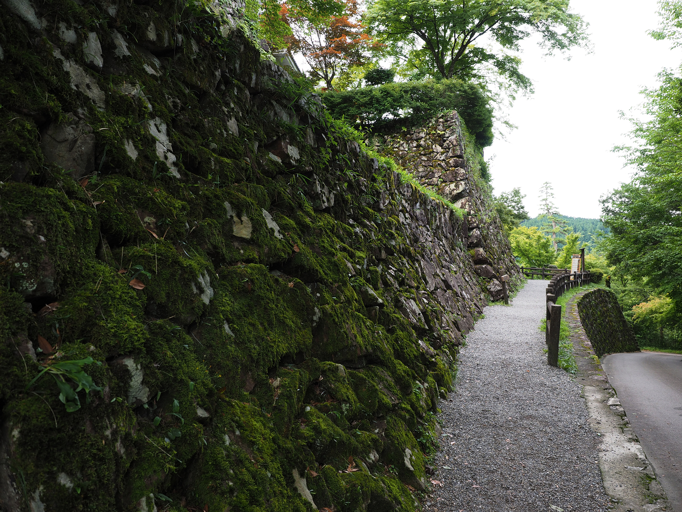 P7160700.jpg