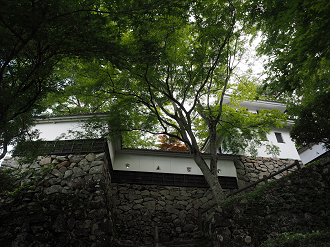 P7160707_thumb.png