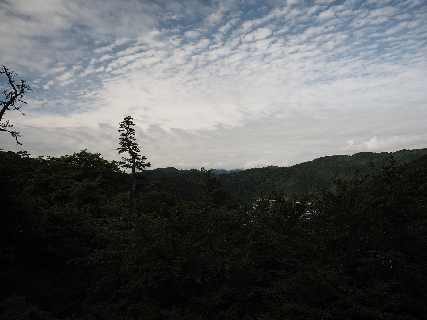 P7160720.jpg