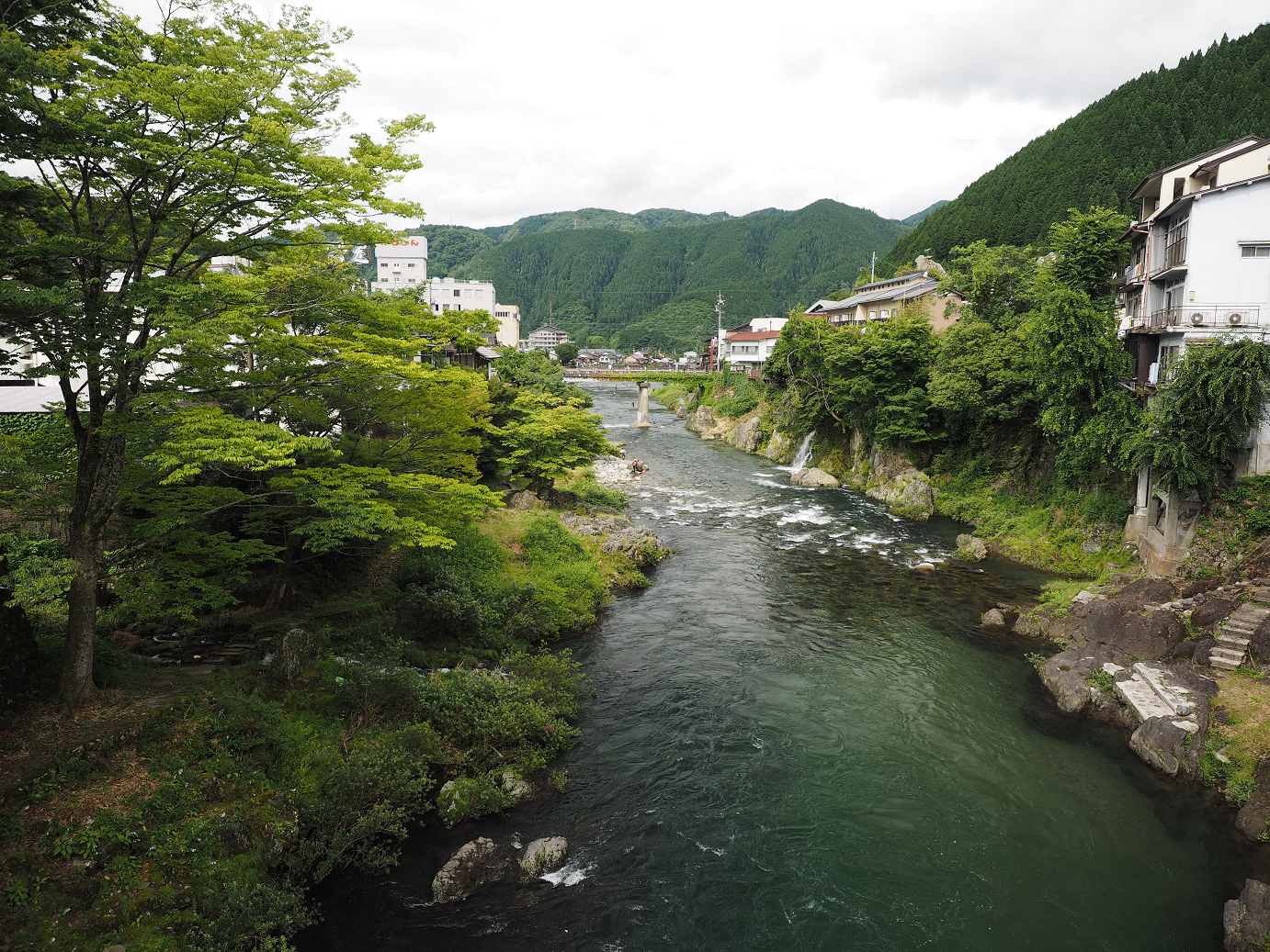 P7160733.jpg