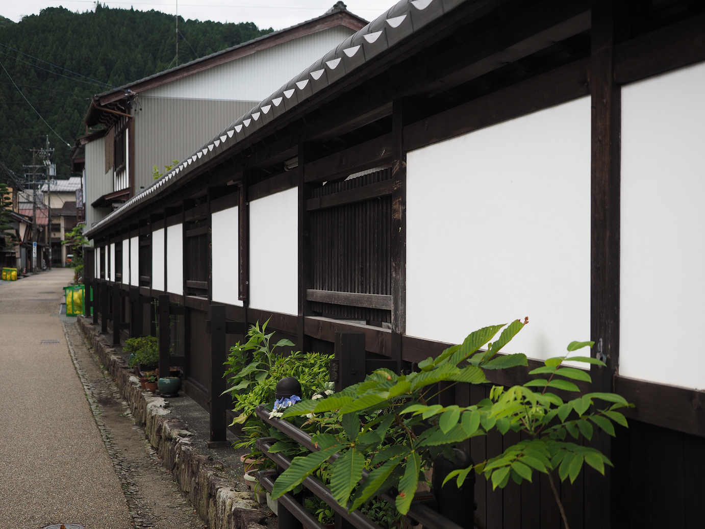 P7160751.jpg