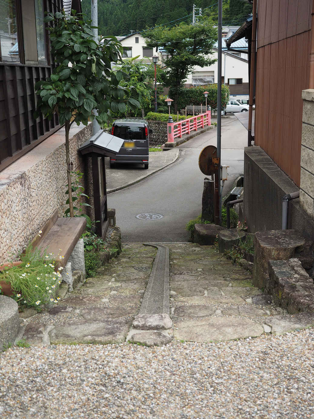 P7160785.jpg